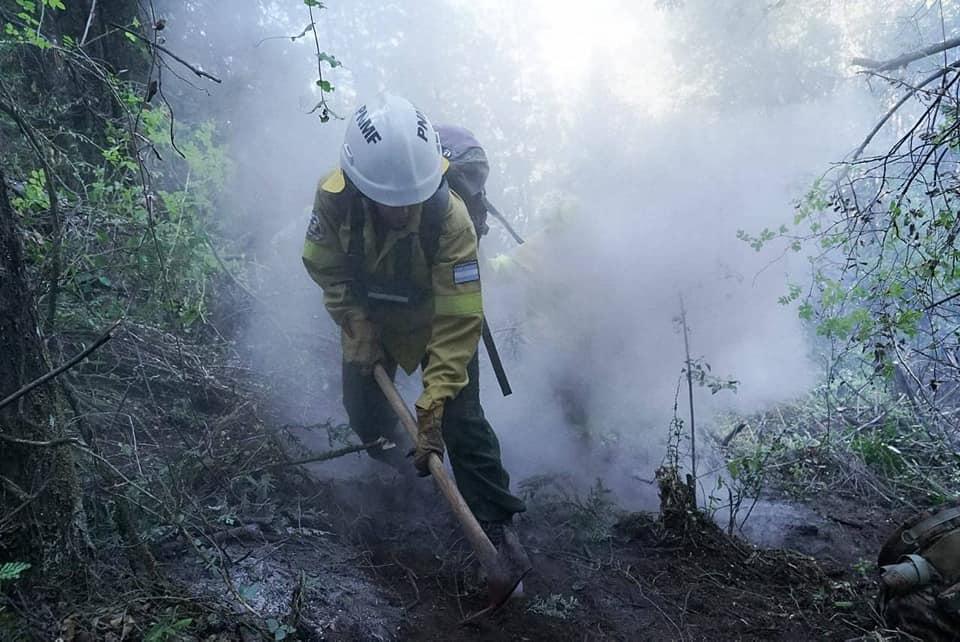 incendio forestal