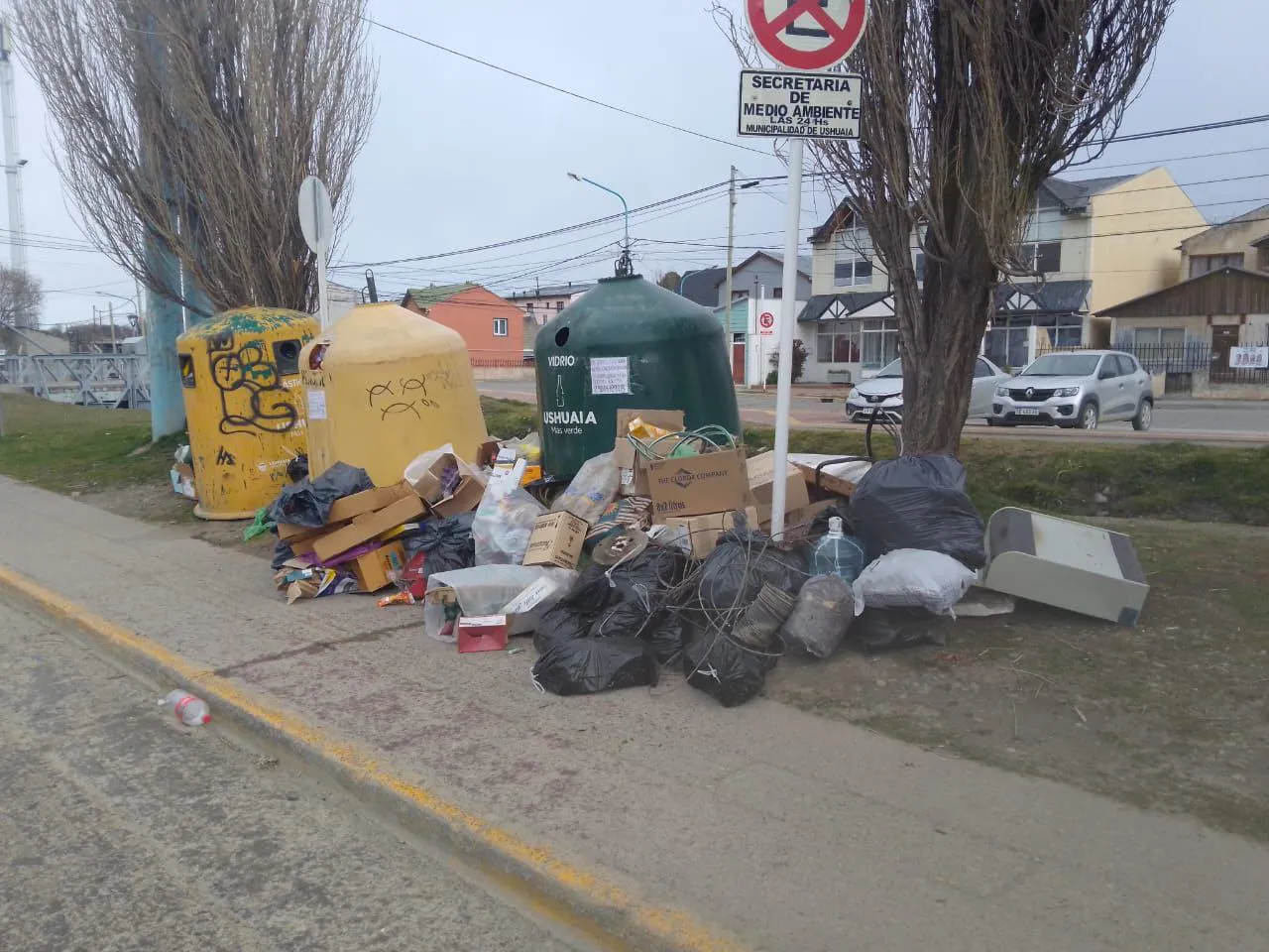 photo_5080531804334263368_y