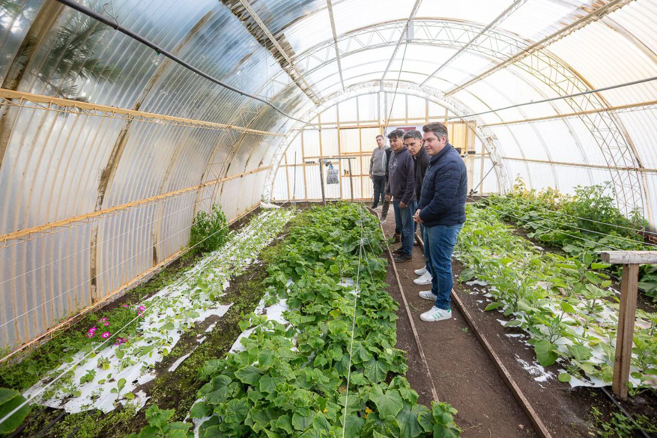 Chacra Agroexperimental Municipal