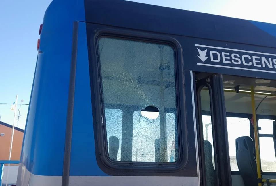 WhatsApp Image 2023-08-11 at 19.34.43