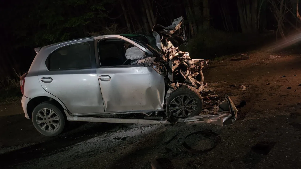 WhatsApp Image 2025-11-15 at 10.03.20