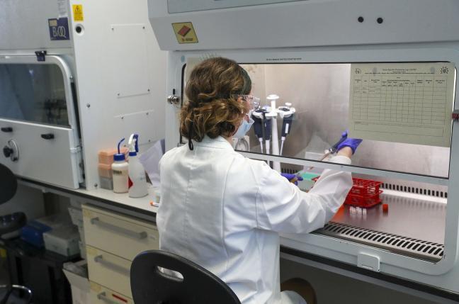 vacuna coronavirus