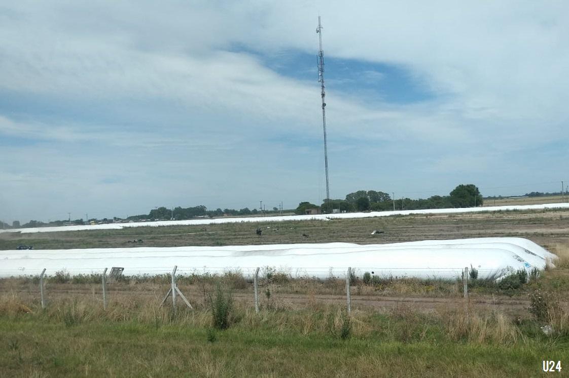 campo