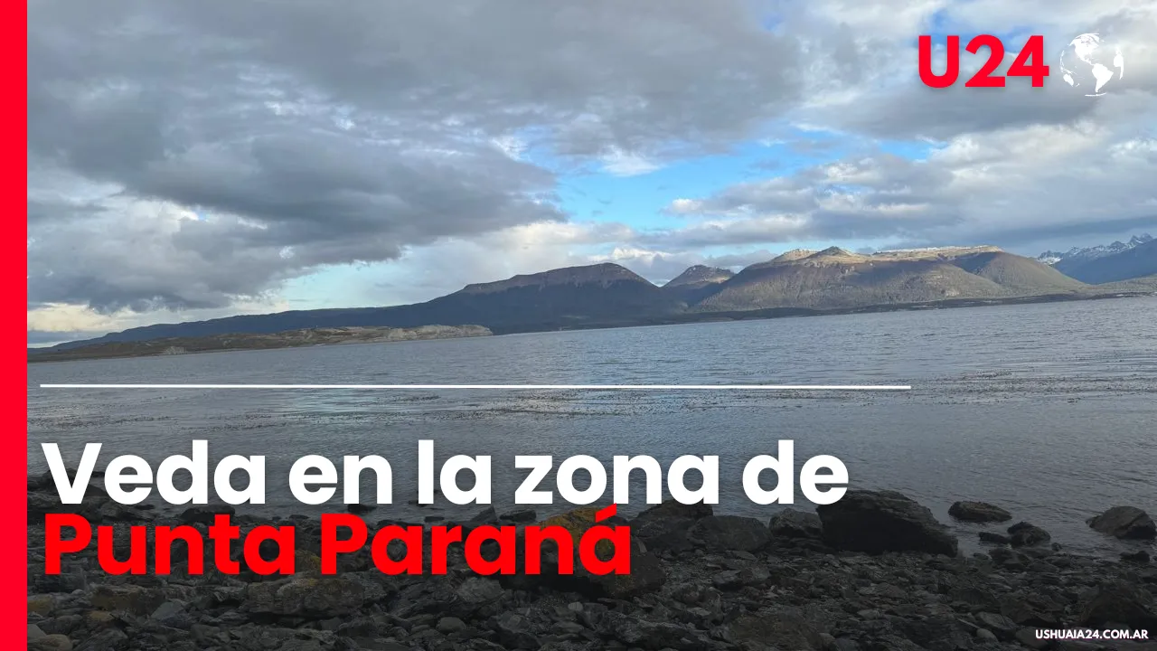 Miniatura de Youtube Los Mejores (1)