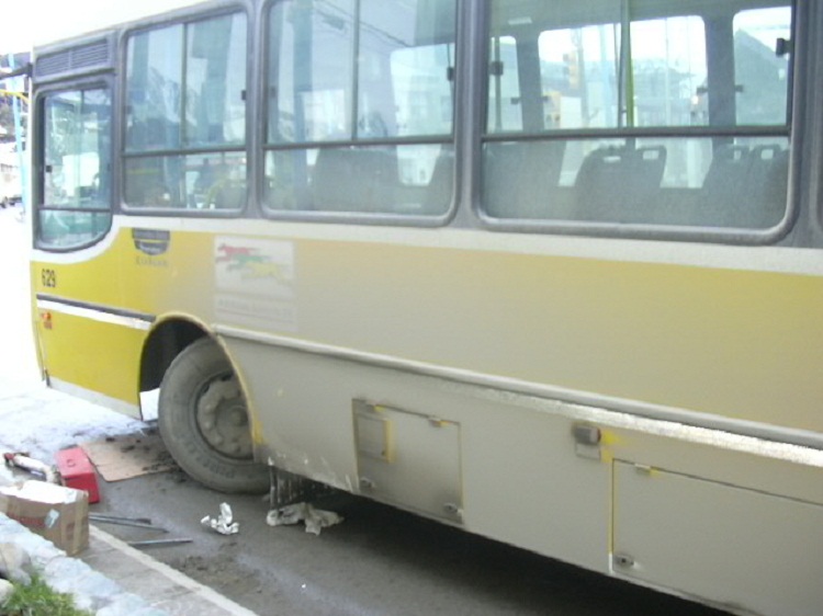 COLECTIVO 650x500