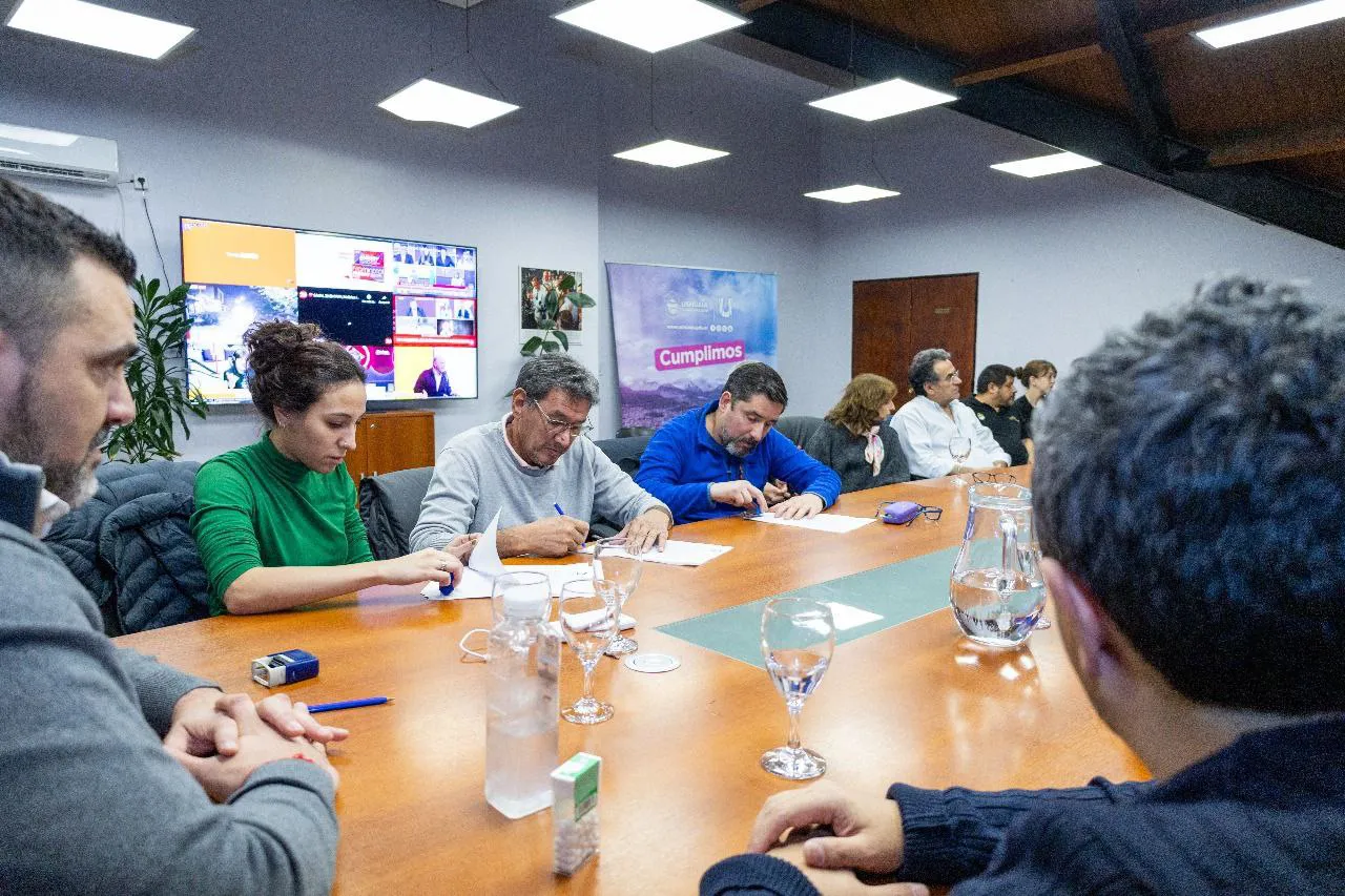 photo_5057575938572791496_y