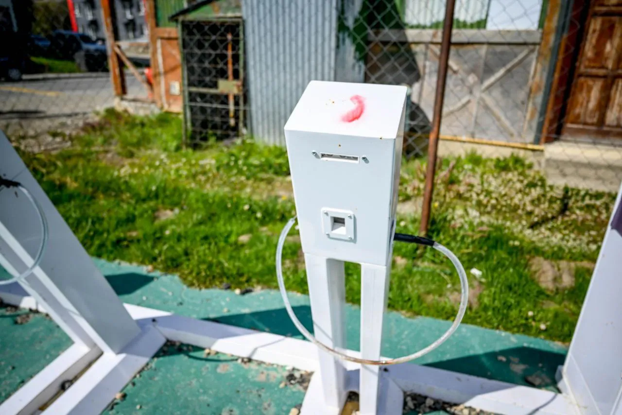 photo_4992655338935267487_y