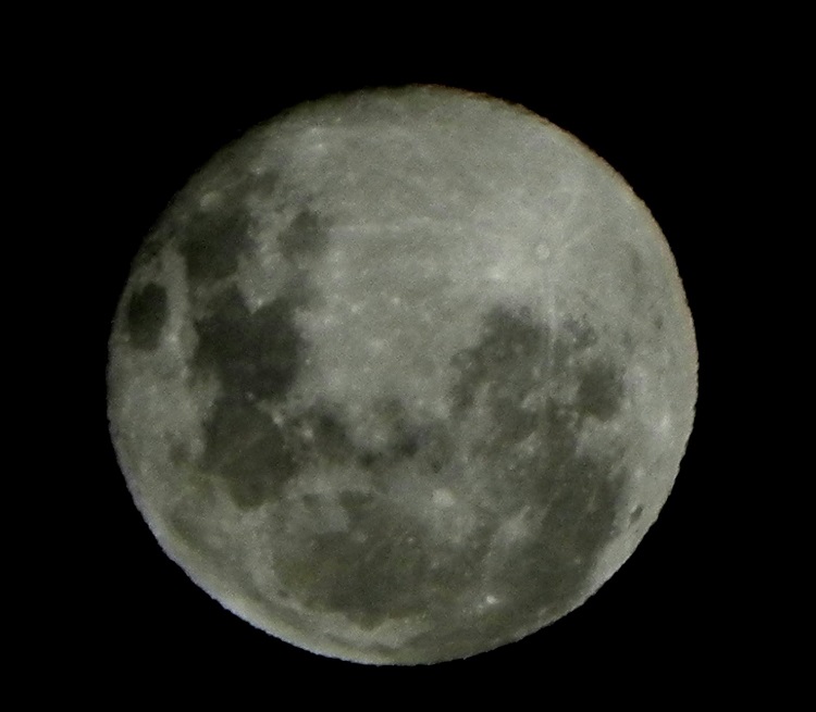 Luna