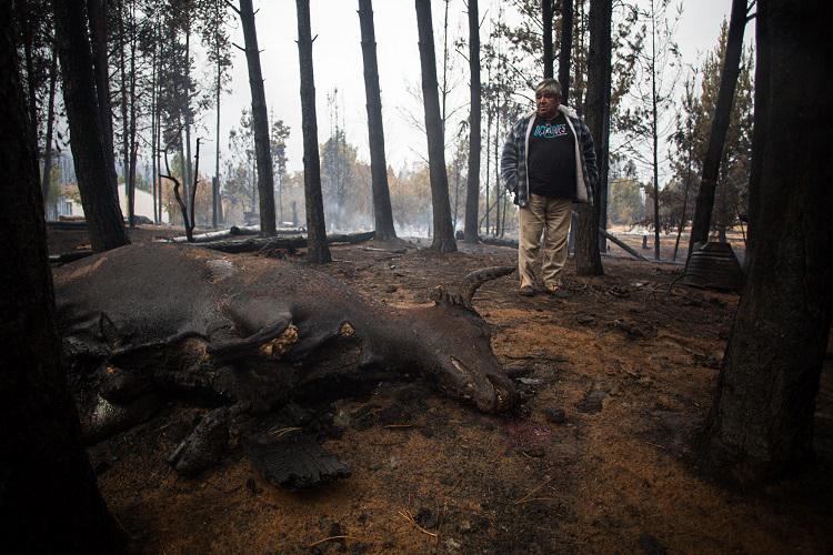 incendios chubut