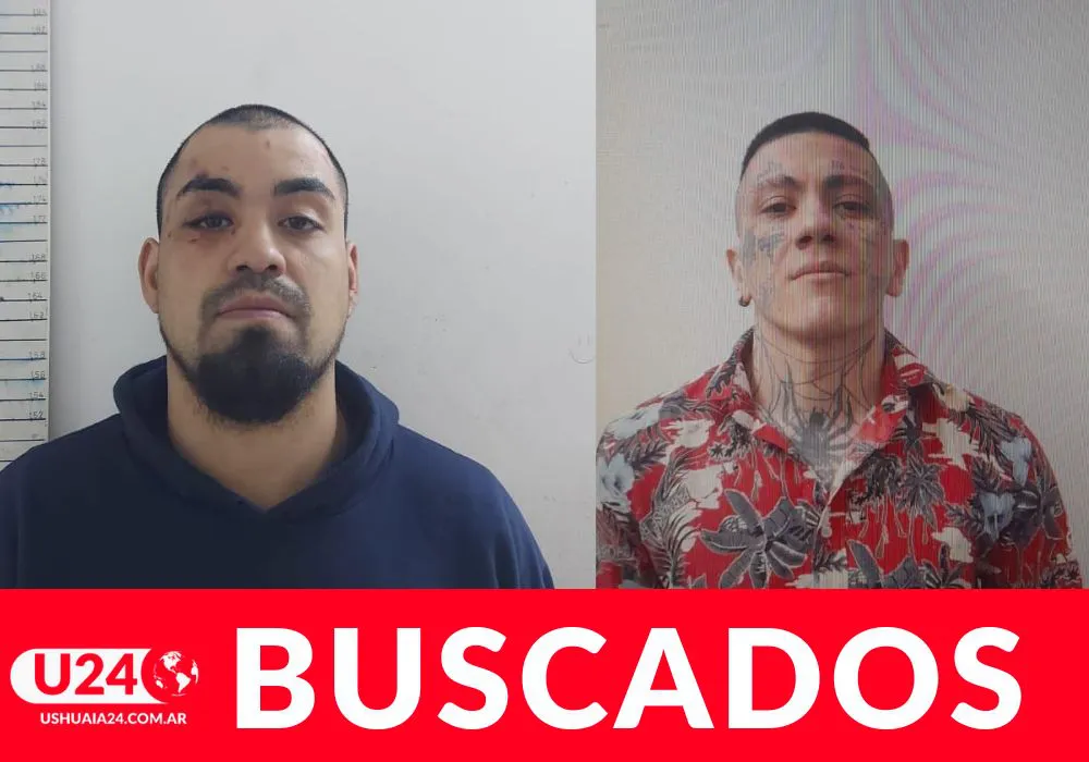 DIVIDIDA (1)