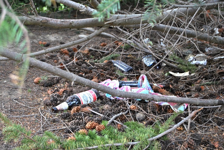 limpieza viejo autodromo5