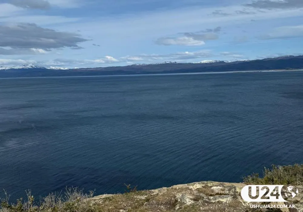 canal beagle