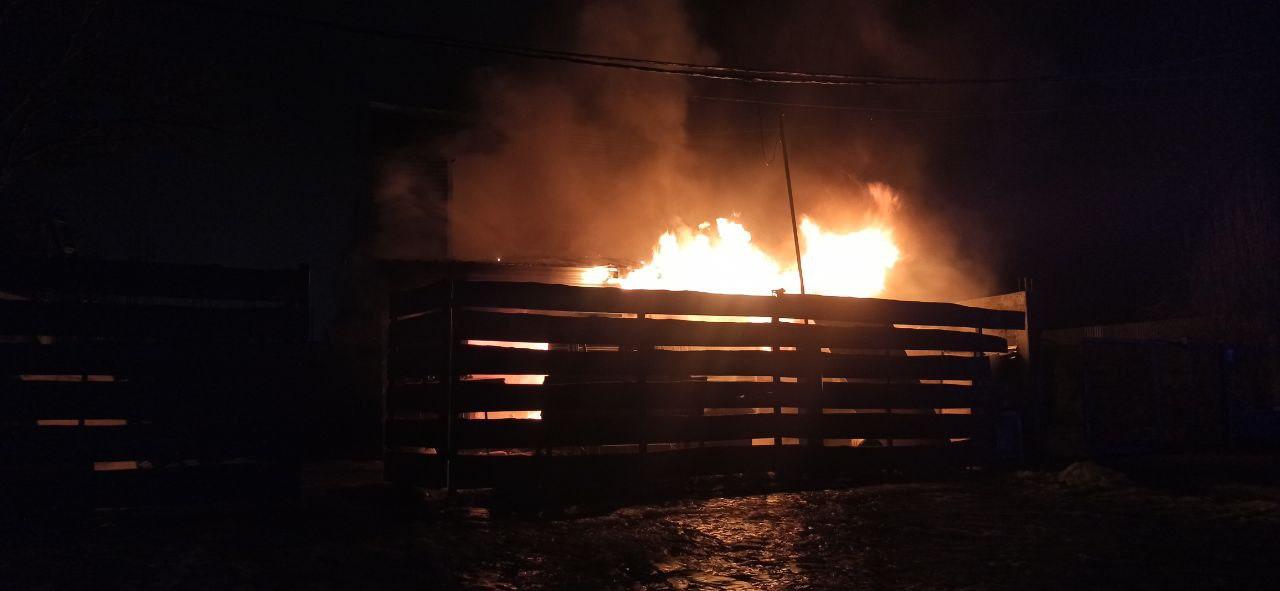 WhatsApp Image 2024-07-16 at 09.38.17