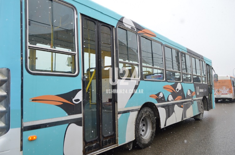 colectivo 750x500