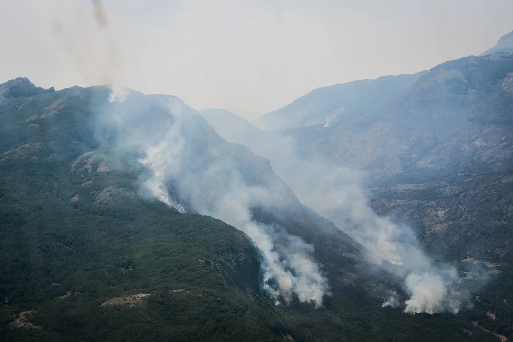 los alerces incendio