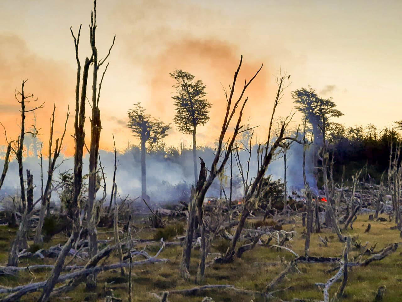 incendio forestal