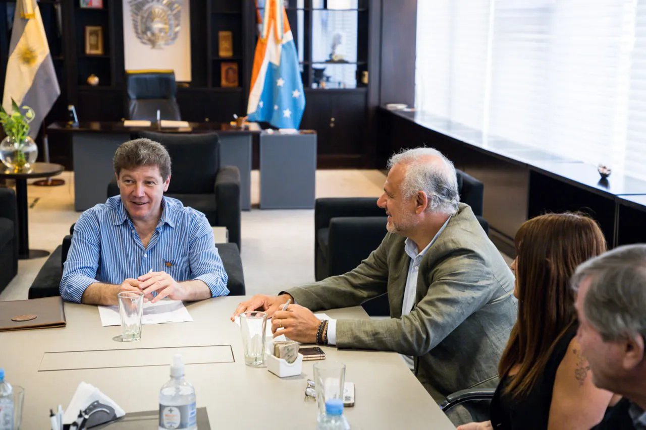 melella puente flotante