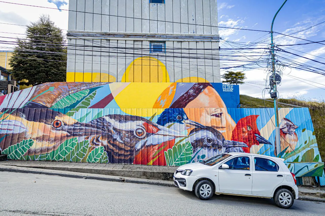 photo_4947599577222065584_y