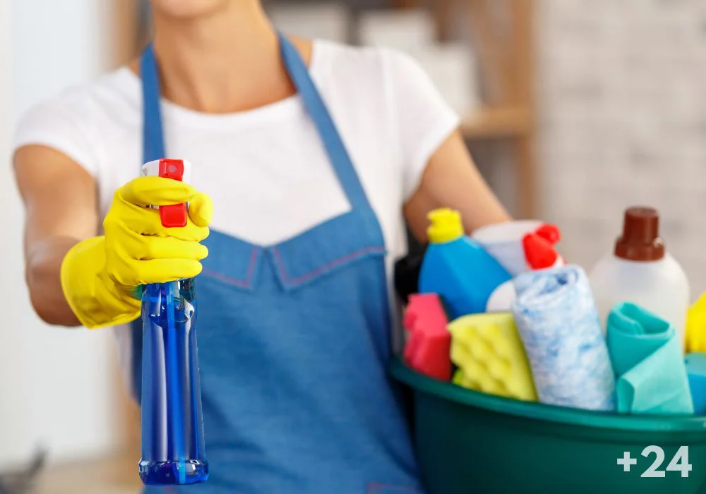 servicio domestico