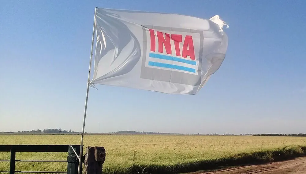 INTA