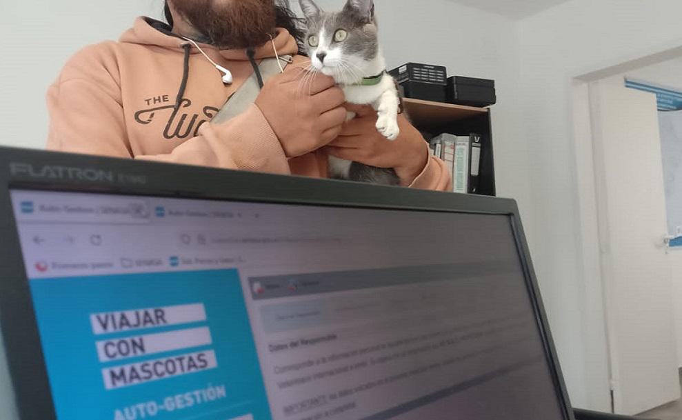 senasa mascotas