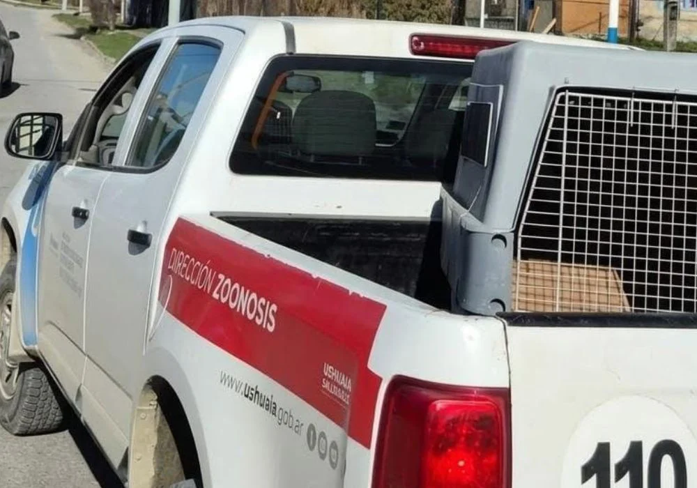 Zoonosis Ushuaia