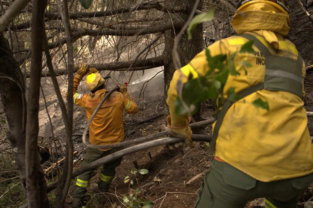 Los Alerces chubut incendio