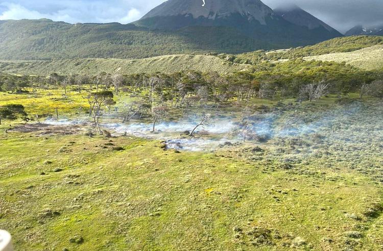 incendio forestal almanza