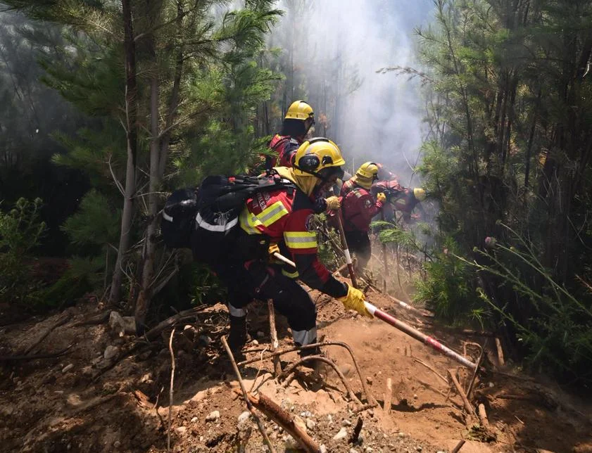 Incendio los Alerces