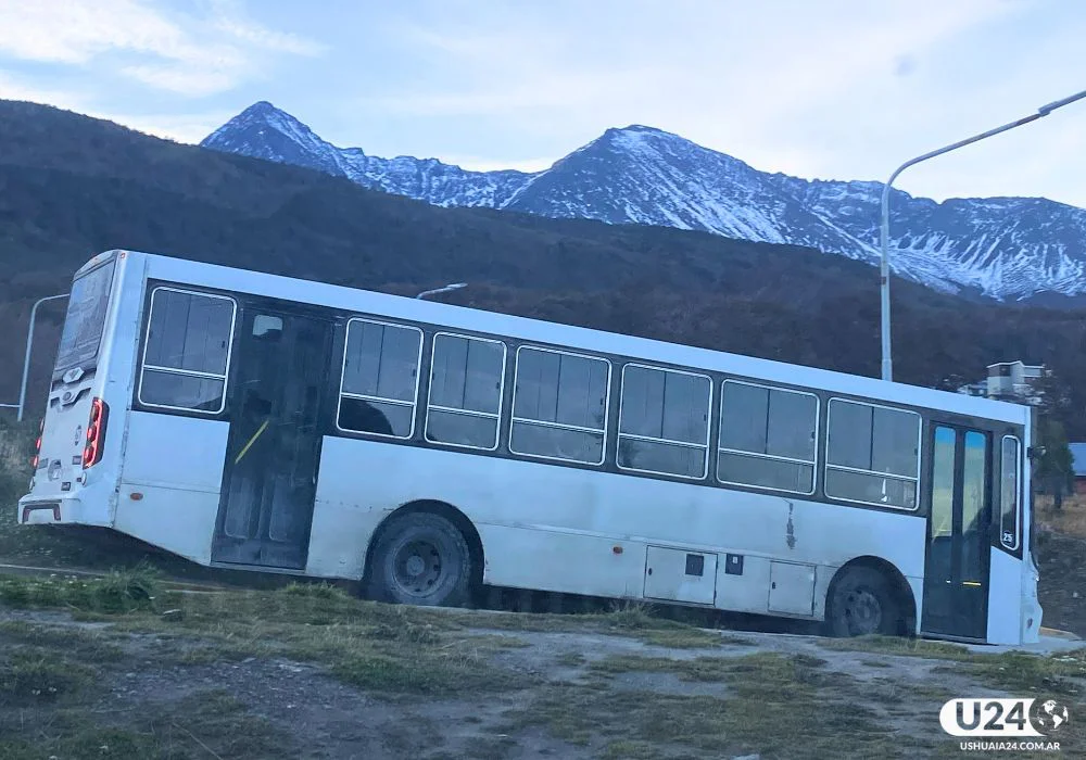 colectivo