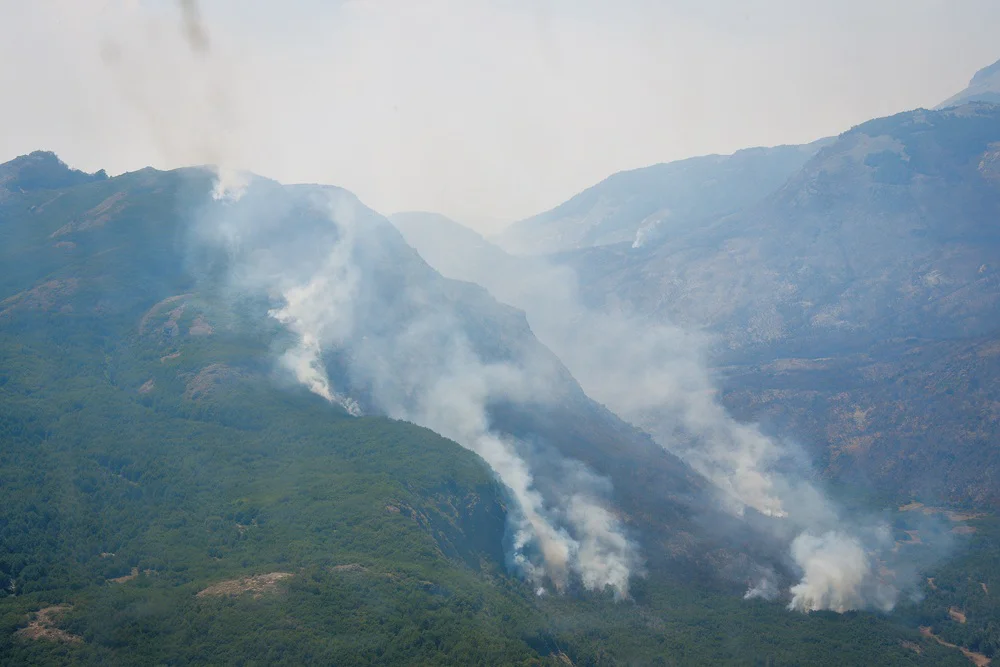 Los alerces incendido forestal