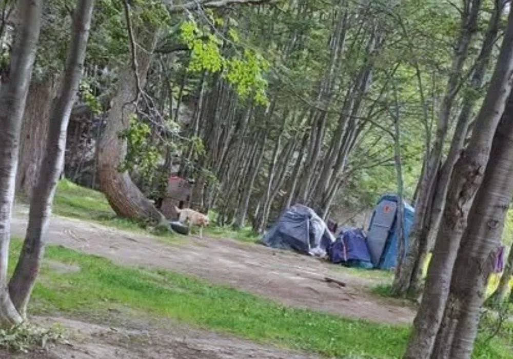 Camping de Andorra Ushuaia