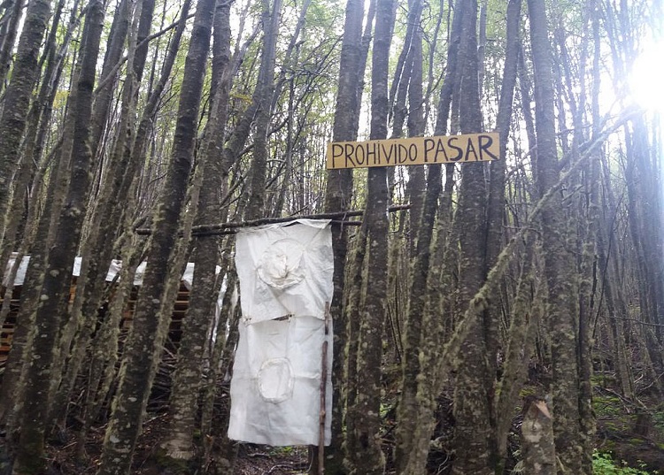 40813137221_bea2212def_b