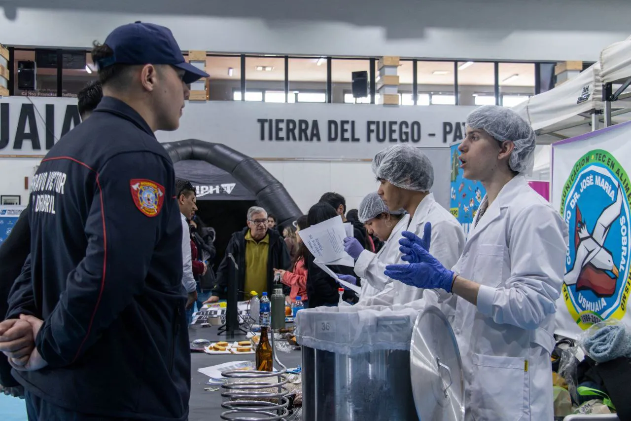 photo_5131931443197053830_y