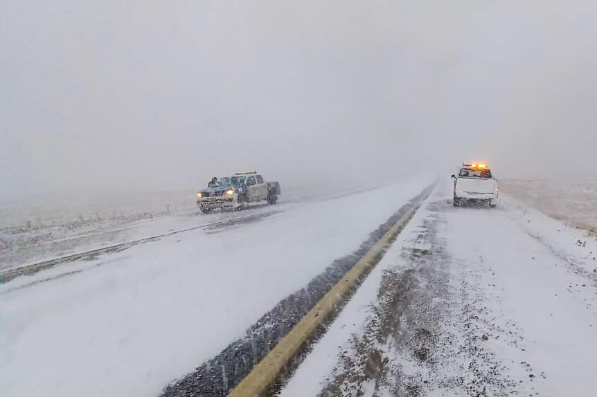 photo_5030640235859520907_y