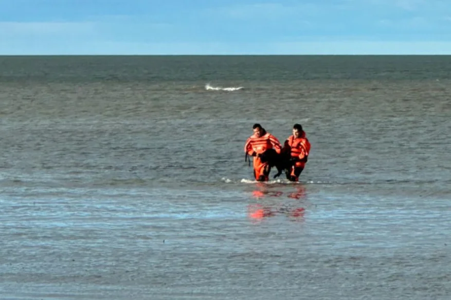 rescate punta popper