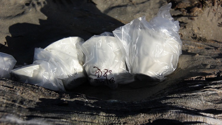 39353765875_c03c8c54da_h