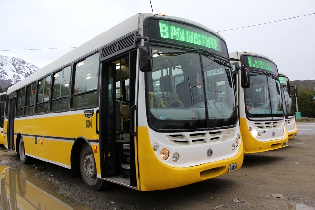 Colectivo 650x480 2