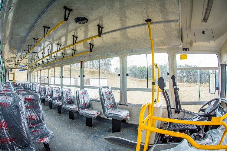 colectivos nuevos