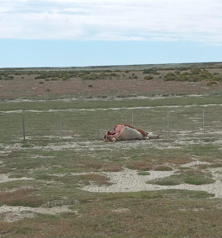 WhatsApp Image 2023-12-19 at 12.50.35