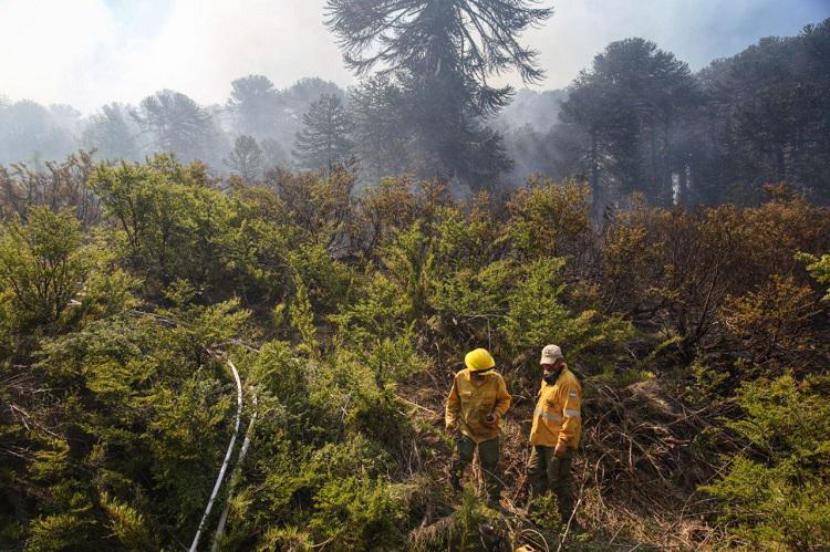 Incendios zonas de Aluminé y Bariloche (11)