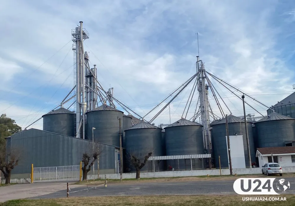 campo argentino
