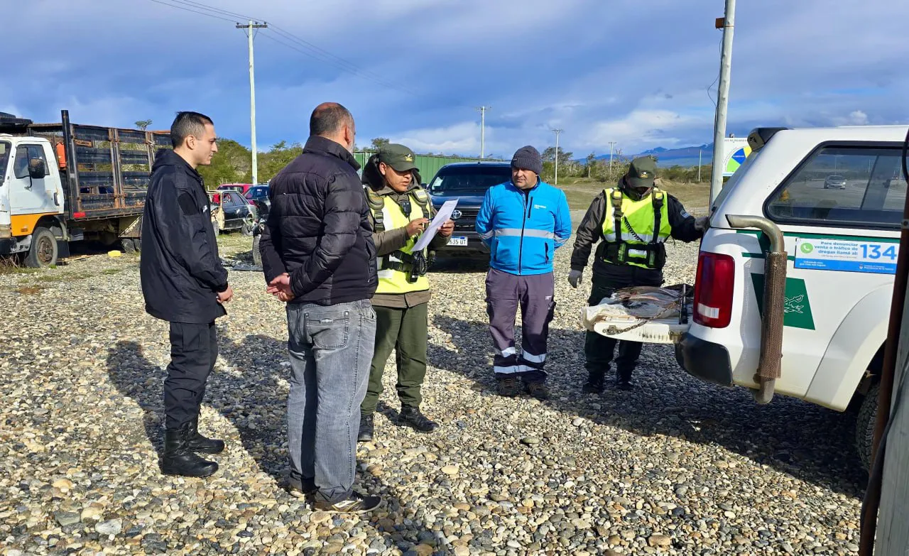 pesca gendarmeria