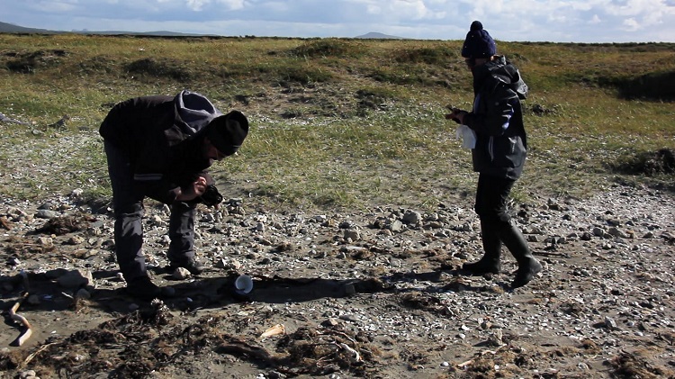 40251540421_c04285c3b6_h