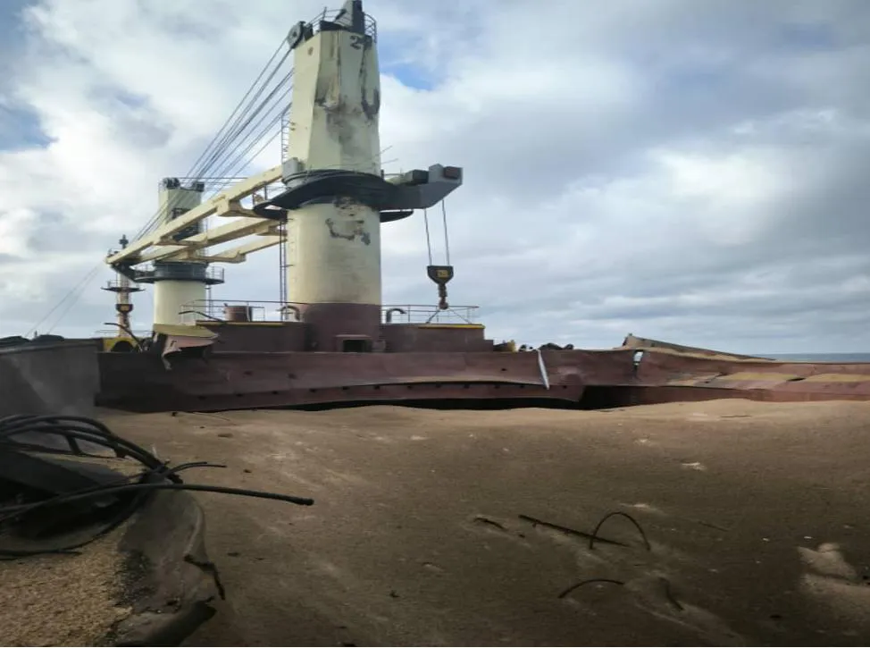 photo_5411556921086958776_y