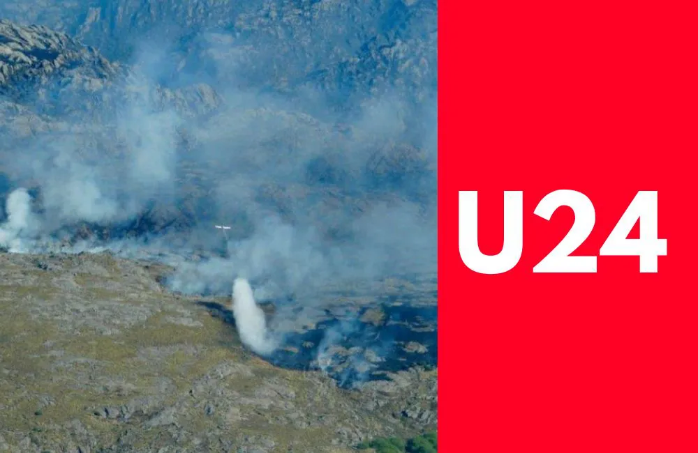 INCENDIOS FORESTALES PORTADA