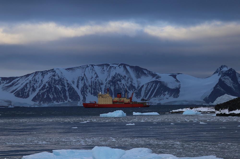 campaña antartica 1