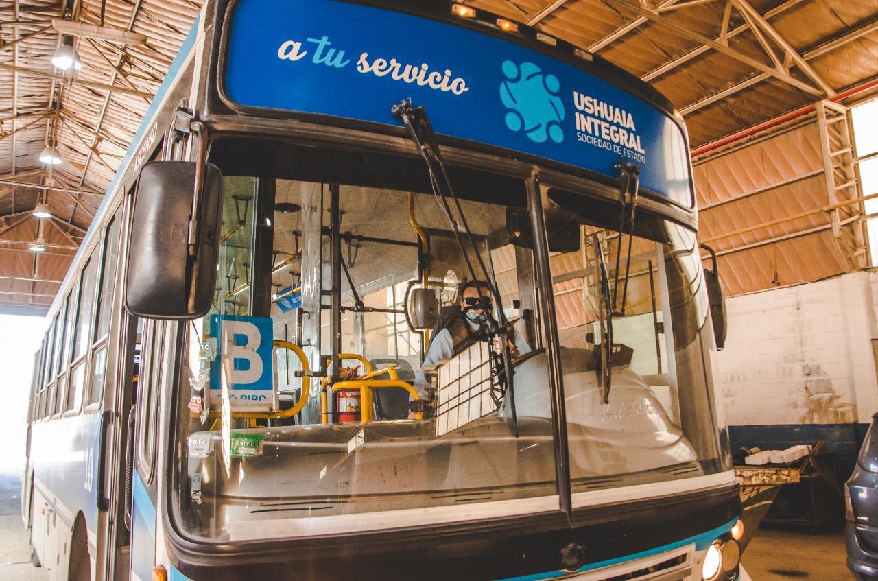 colectivo3