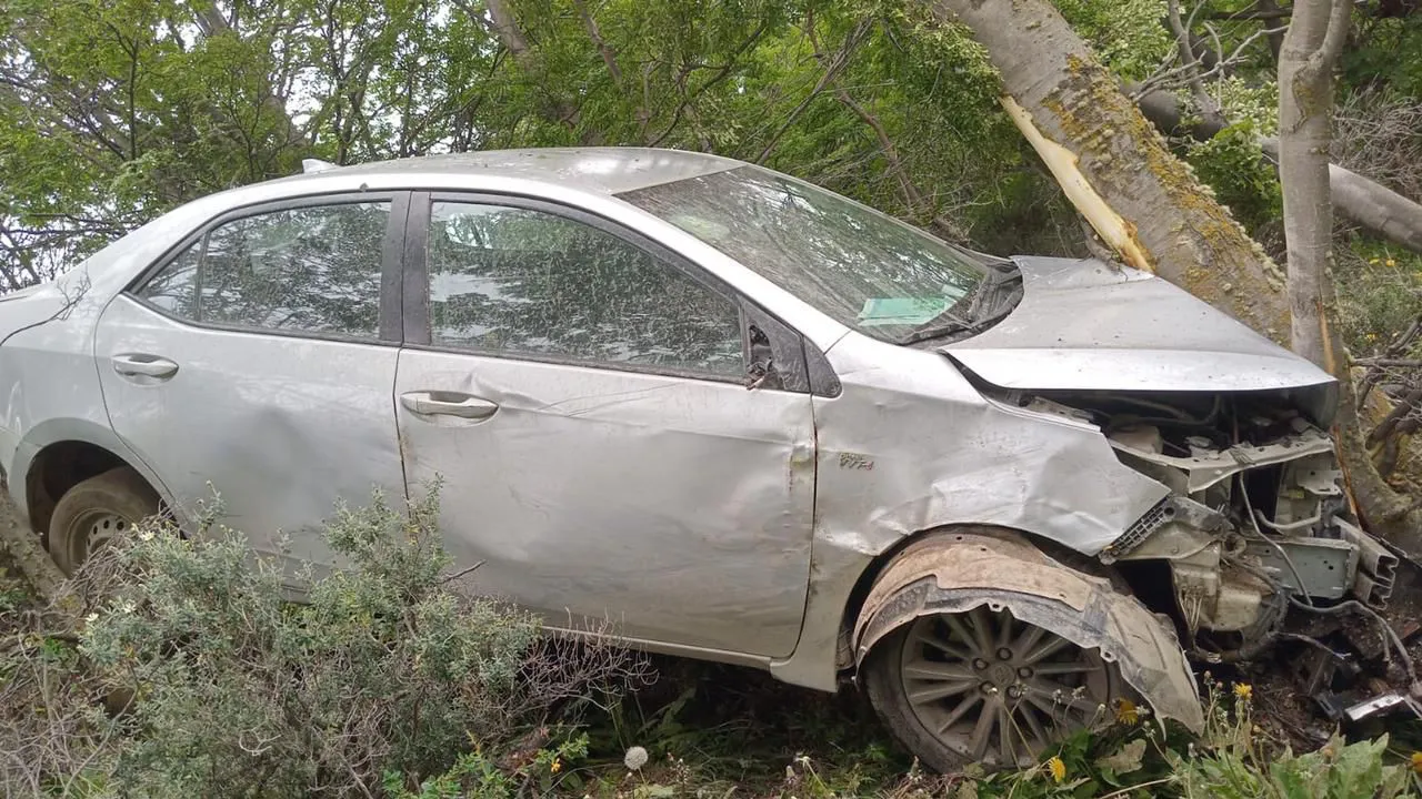 WhatsApp Image 2024-11-22 at 17.46.49