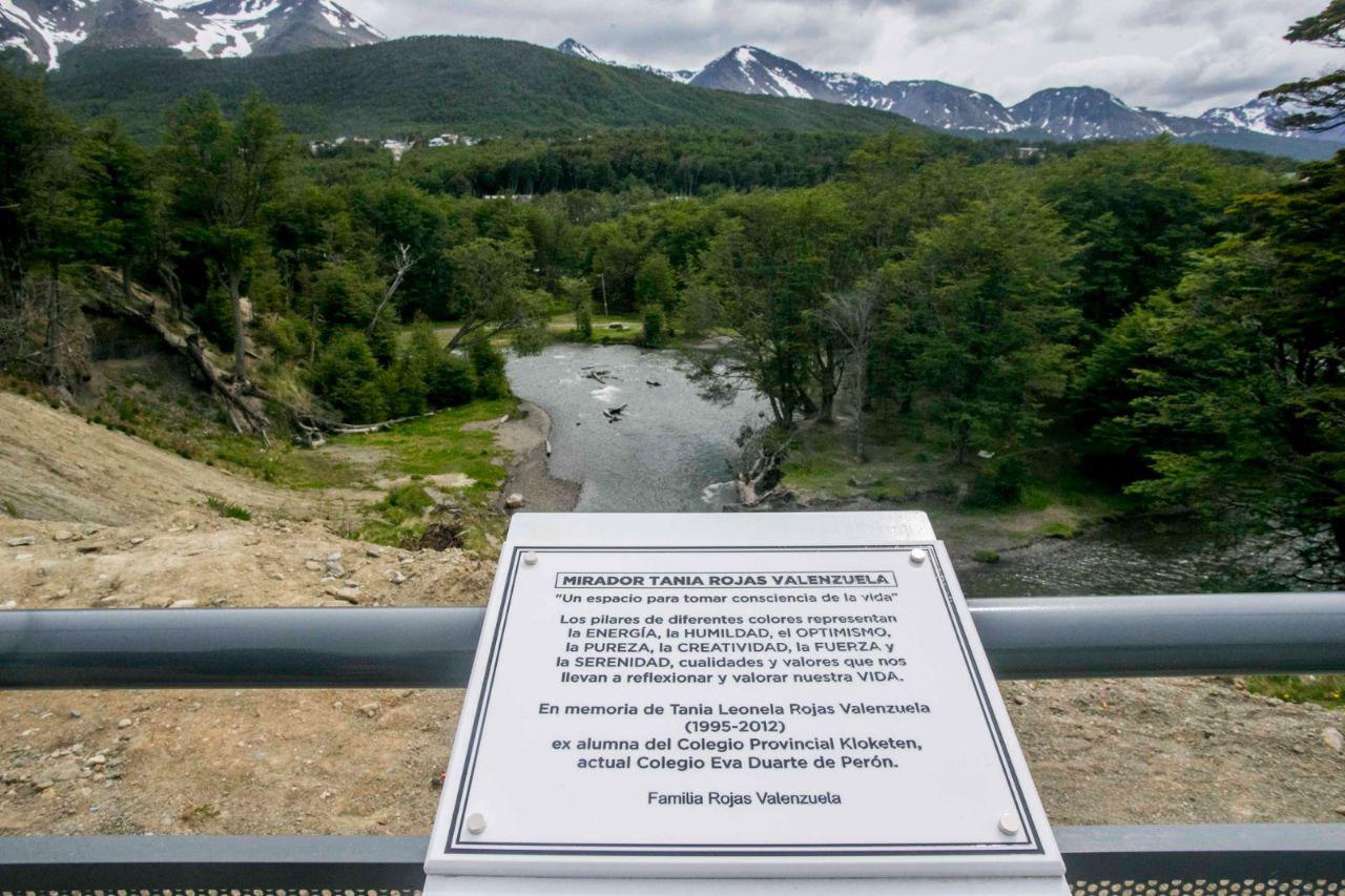 photo_5168221769360845858_y